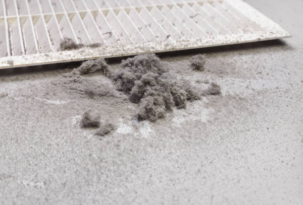 Best Best Air Duct Cleaning Company  in Marcellus, MI